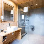 Chalet Fnire